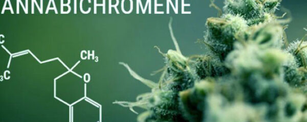 Cannabichromene