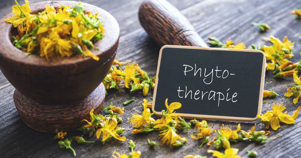 phytothérapie